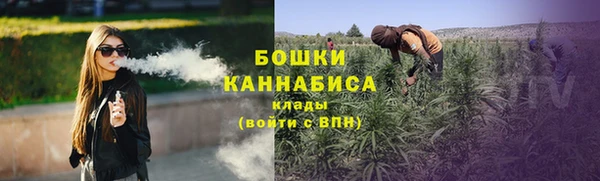 индика Балабаново