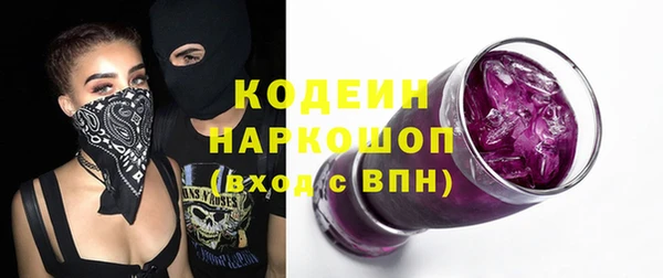 индика Балабаново