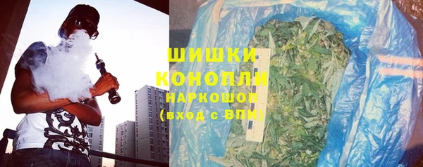 индика Балабаново