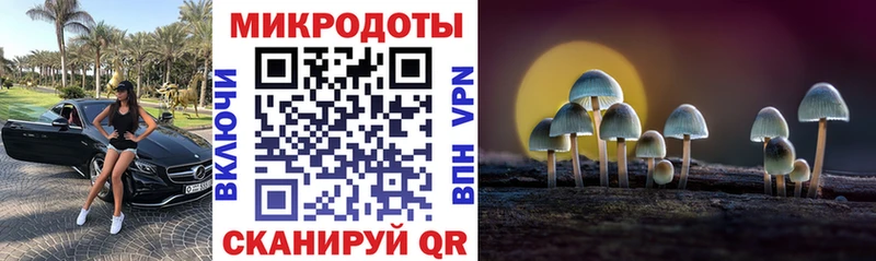 Псилоцибиновые грибы Psilocybine cubensis  darknet состав  Короча  блэк спрут ссылка 