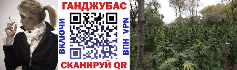закладки  Короча  Бошки марихуана индика 